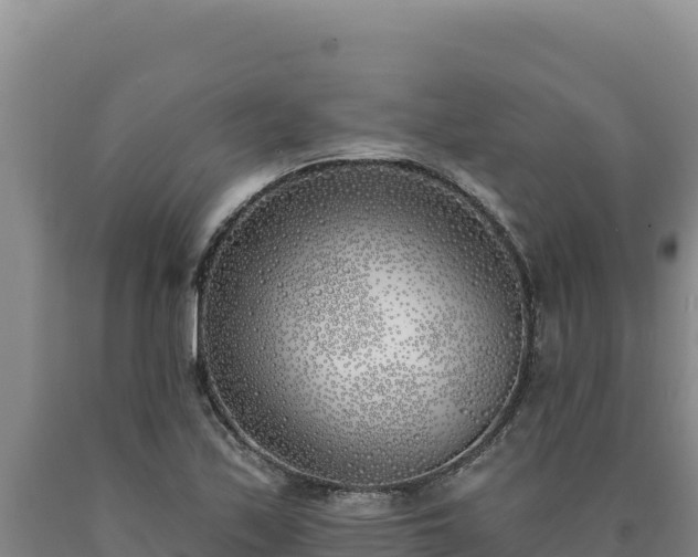 X0000090751171200707271439