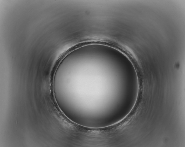 X0000090751172200707271439