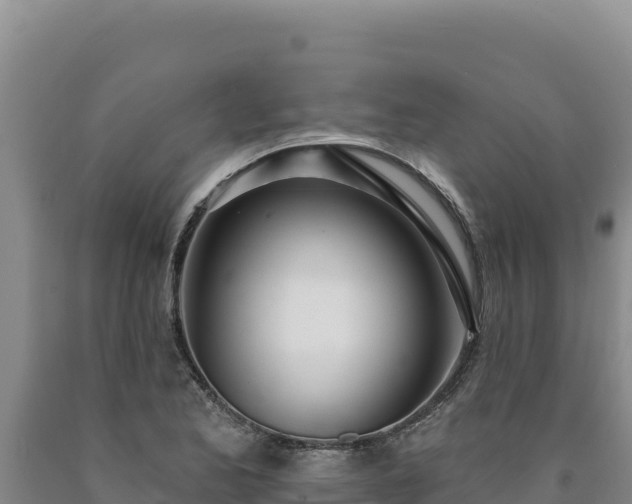X0000090751173200707271439