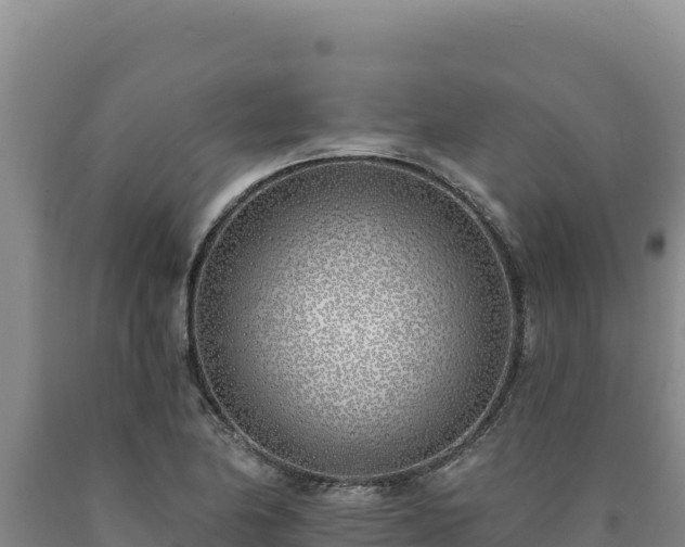 X0000090751174200707271439