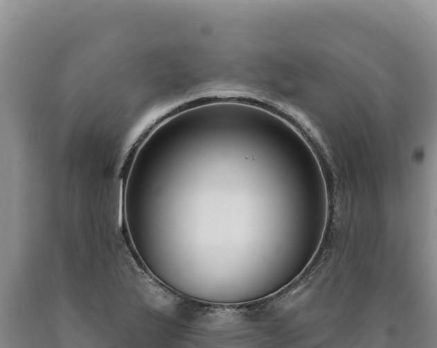 X0000090751175200707271439