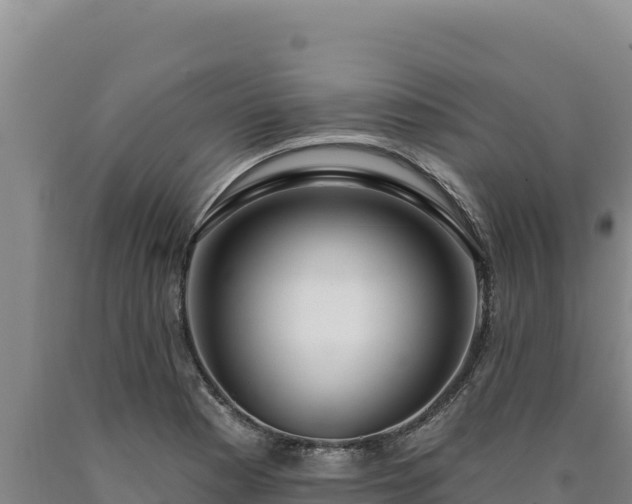 X0000090751177200707271439