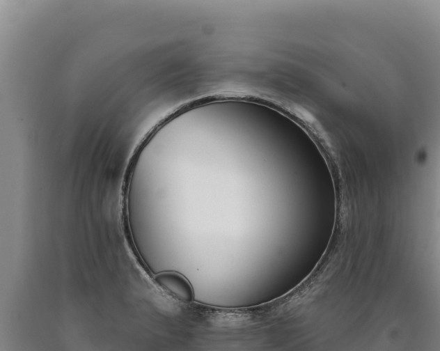 X0000090751183200707271439