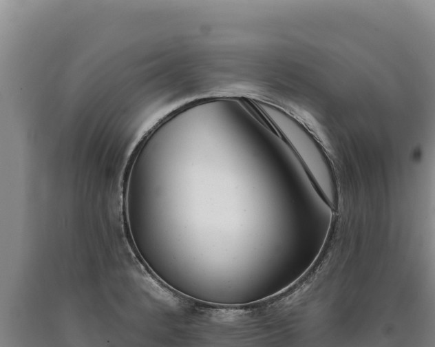 X0000090751184200707271439