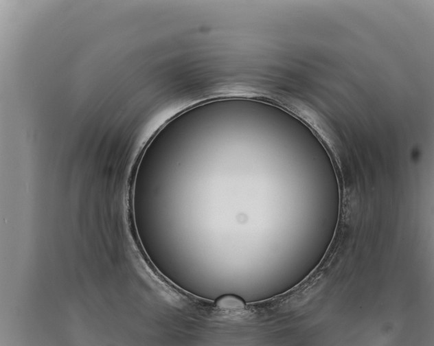 X0000090751187200707271439