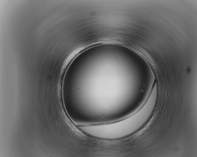 X0000090751196200707271439
