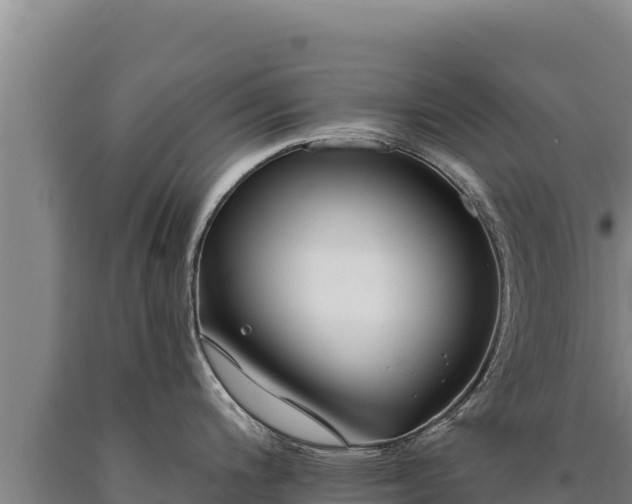X0000090751200200707271439