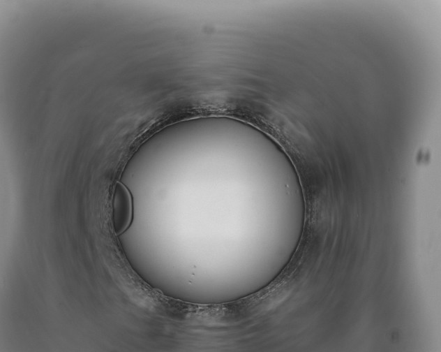 X0000090751201200707271438