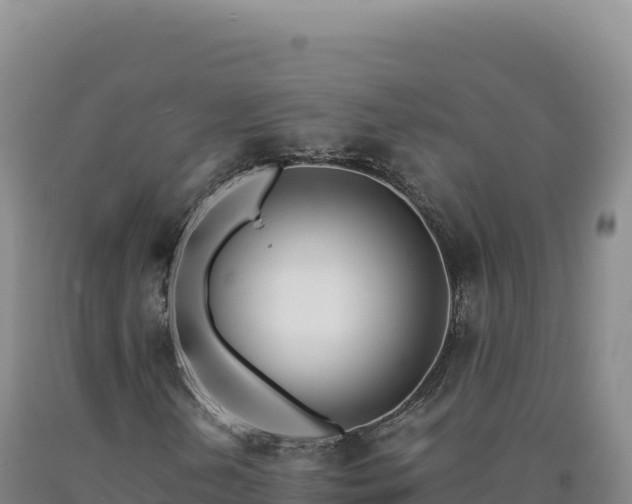 X0000090751202200707271438