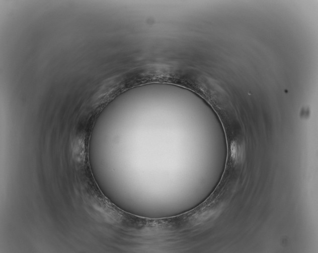X0000090751203200707271438