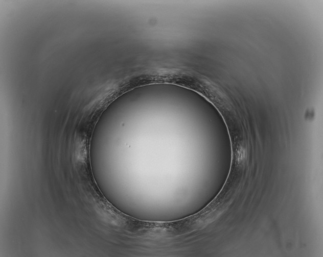 X0000090751204200707271438