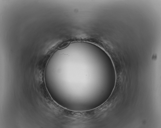 X0000090751205200707271438