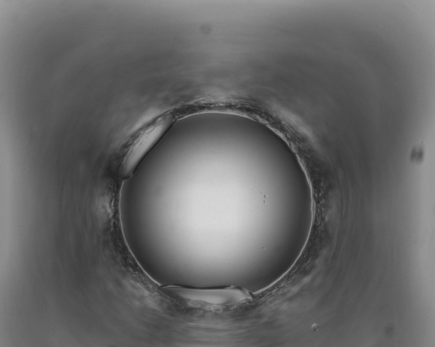 X0000090751206200707271438