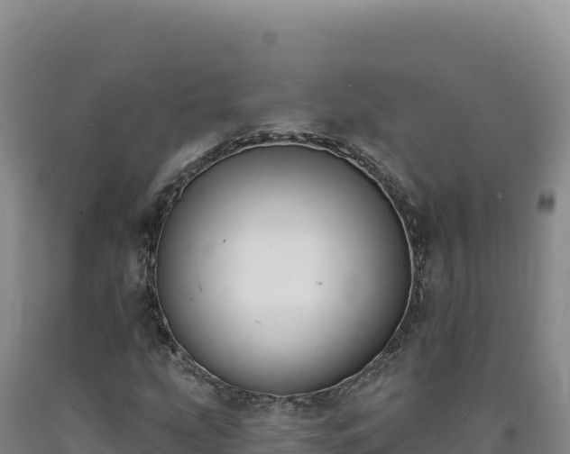 X0000090751207200707271438