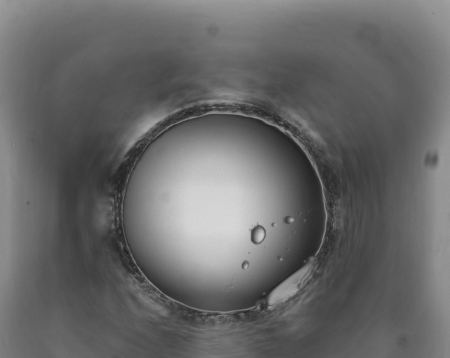 X0000090751208200707271438