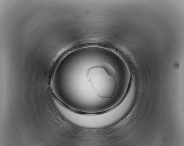X0000090751210200707271438
