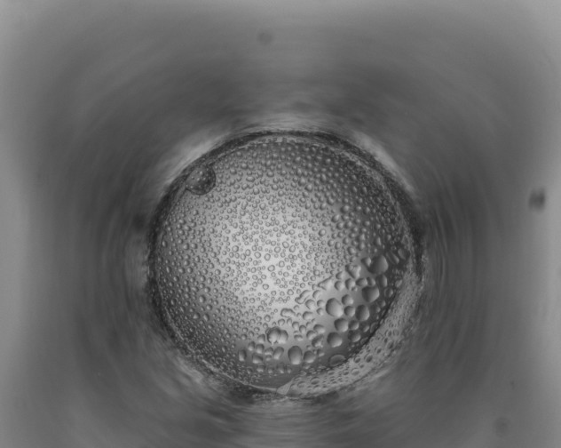 X0000090751213200707271438