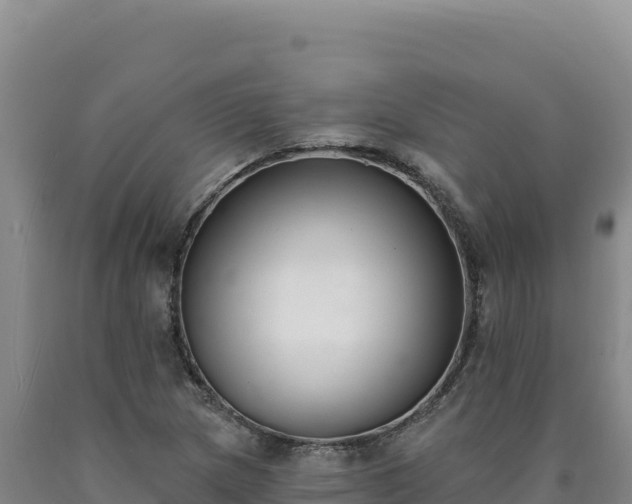 X0000090751217200707271438