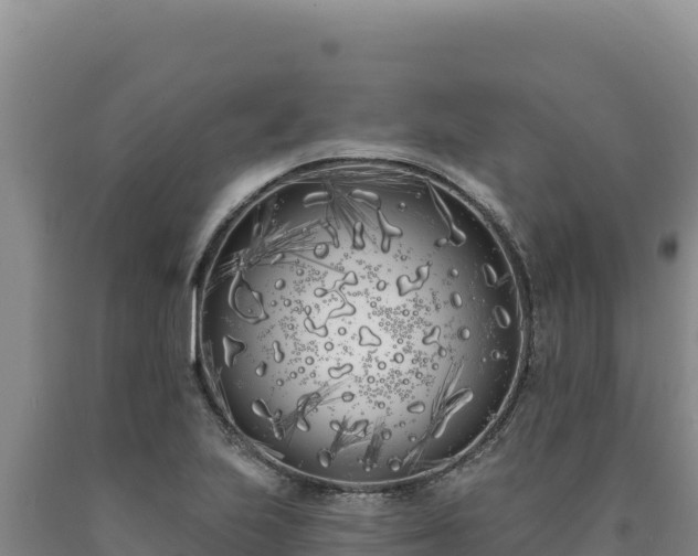 X0000090751223200707271438