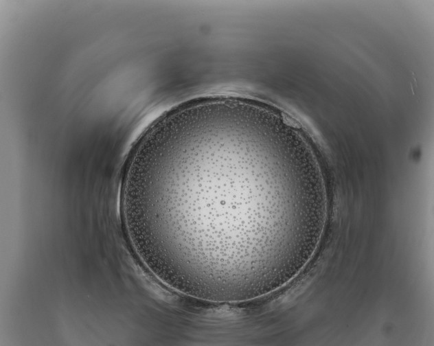 X0000090751224200707271438