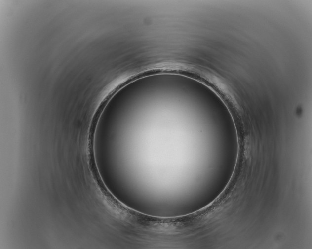 X0000090751229200707271438