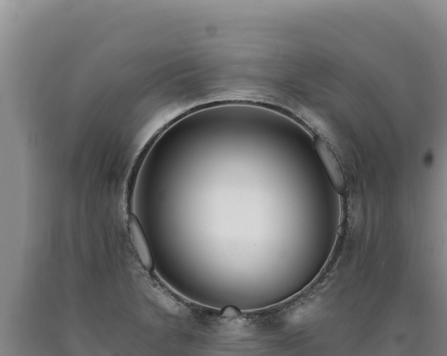 X0000090751230200707271438