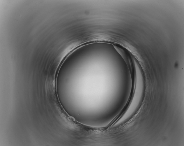 X0000090751234200707271438
