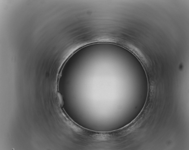X0000090751236200707271438