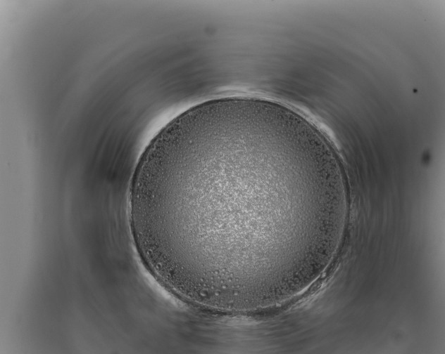 X0000090751239200707271438