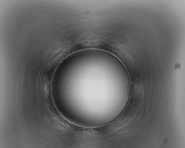 X0000090751250200707271438