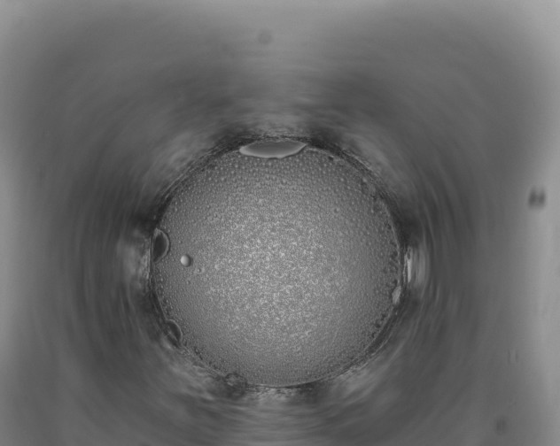 X0000090751251200707271438