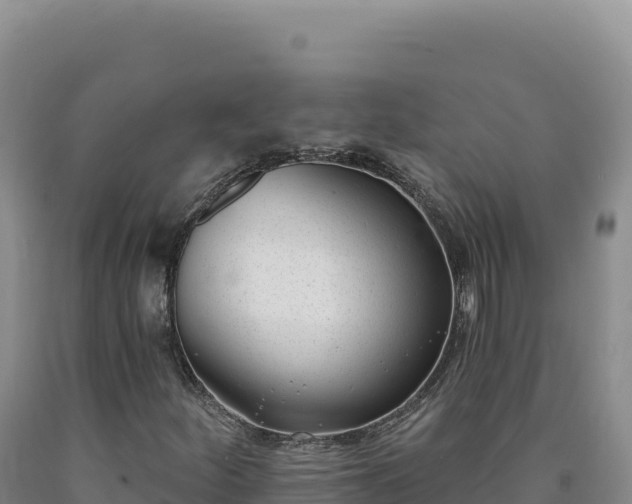 X0000090751252200707271438