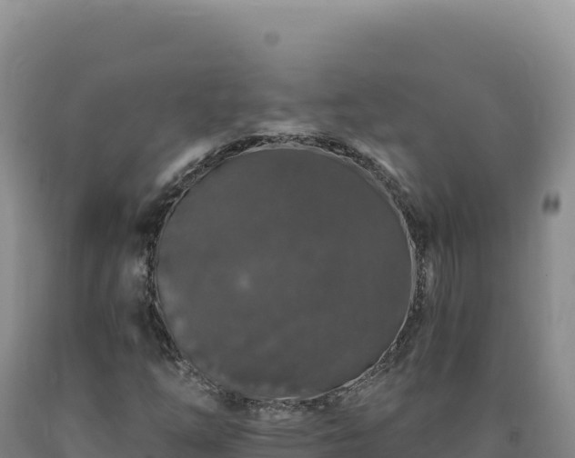 X0000090751254200707271438