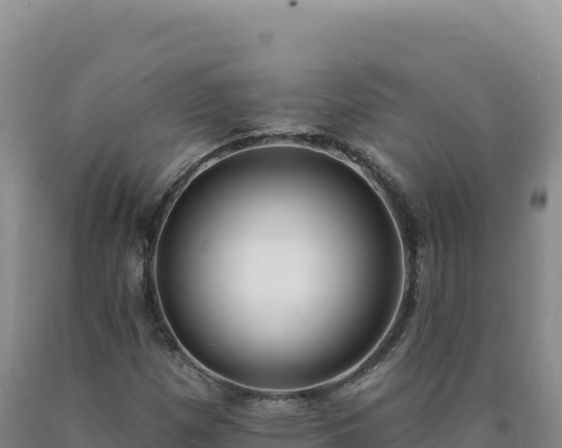 X0000090751257200707271438