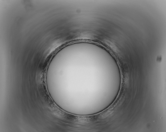 X0000090751258200707271438