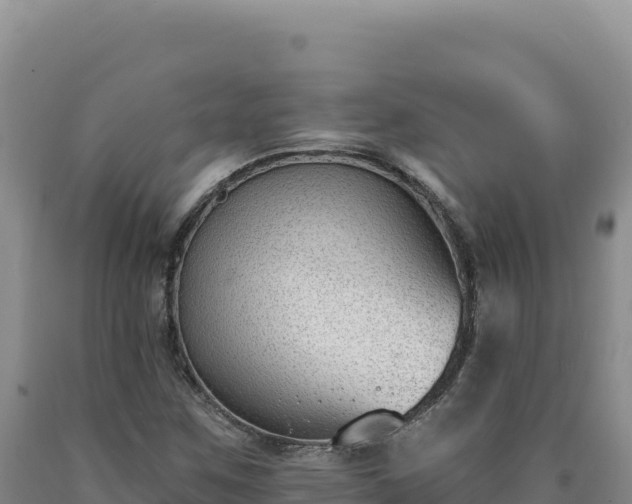 X0000090751259200707271438