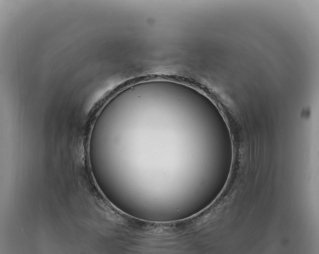 X0000090751262200707271438