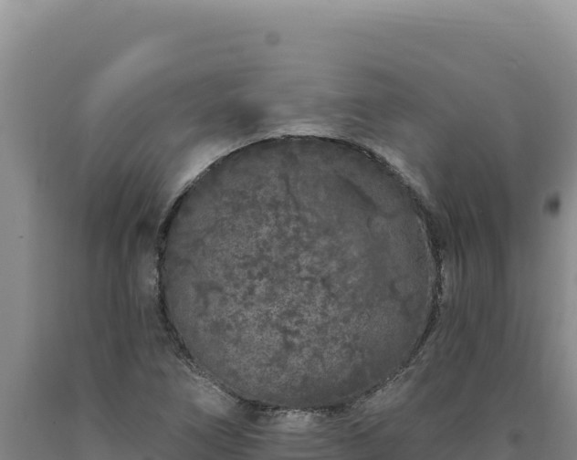 X0000090751266200707271438