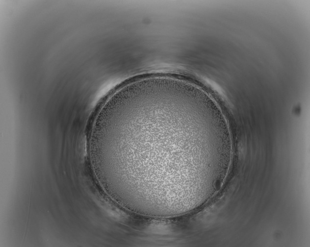 X0000090751267200707271437