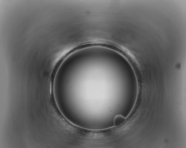 X0000090751269200707271437