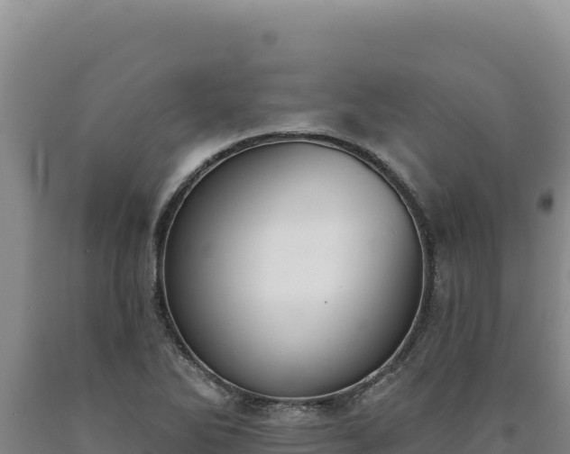 X0000090751270200707271437