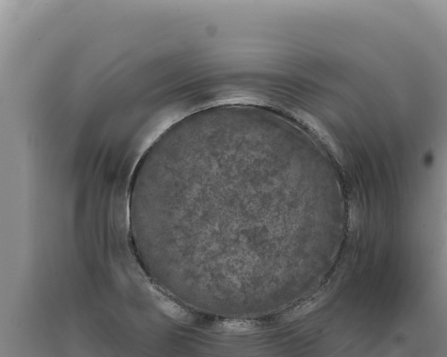 X0000090751274200707271437