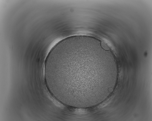 X0000090751275200707271437
