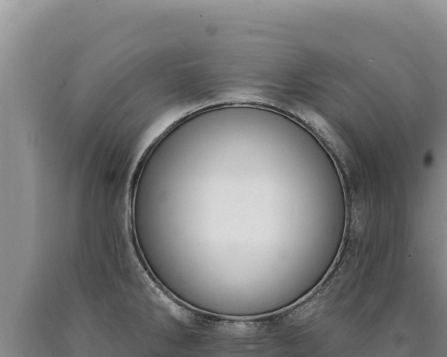 X0000090751286200707271437
