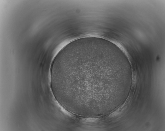 X0000090751294200707271437