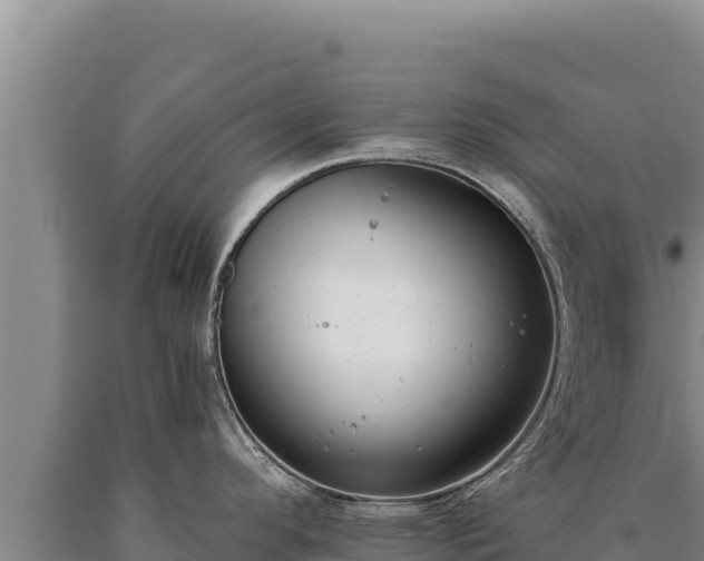 X0000090751296200707271437