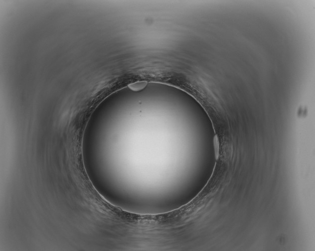 X0000090751297200707271437