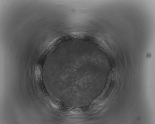 X0000090751298200707271437