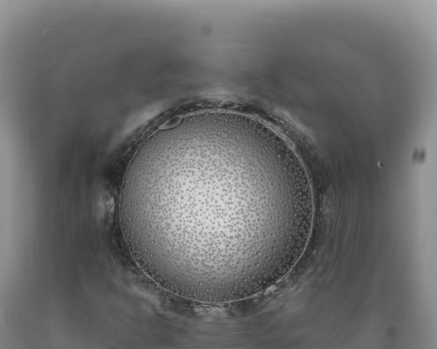 X0000090751302200707271437