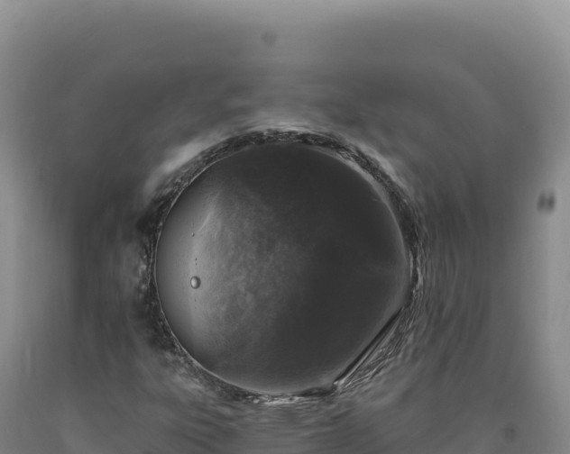 X0000090751303200707271437